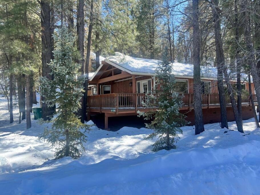 The Bluejay Cabin At Munds Park, Az! Sedona Exterior photo